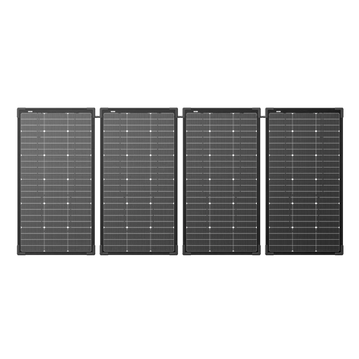 Load image into Gallery viewer, EcoFlow 125W Bifacial Modular Solar Panel PRE-ORDER