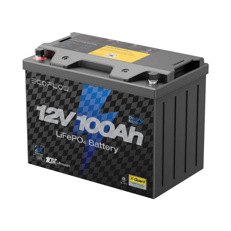 Load image into Gallery viewer, EcoFlow Lithium 12V 100Ah Deep Cycle LiFePO4 Battery