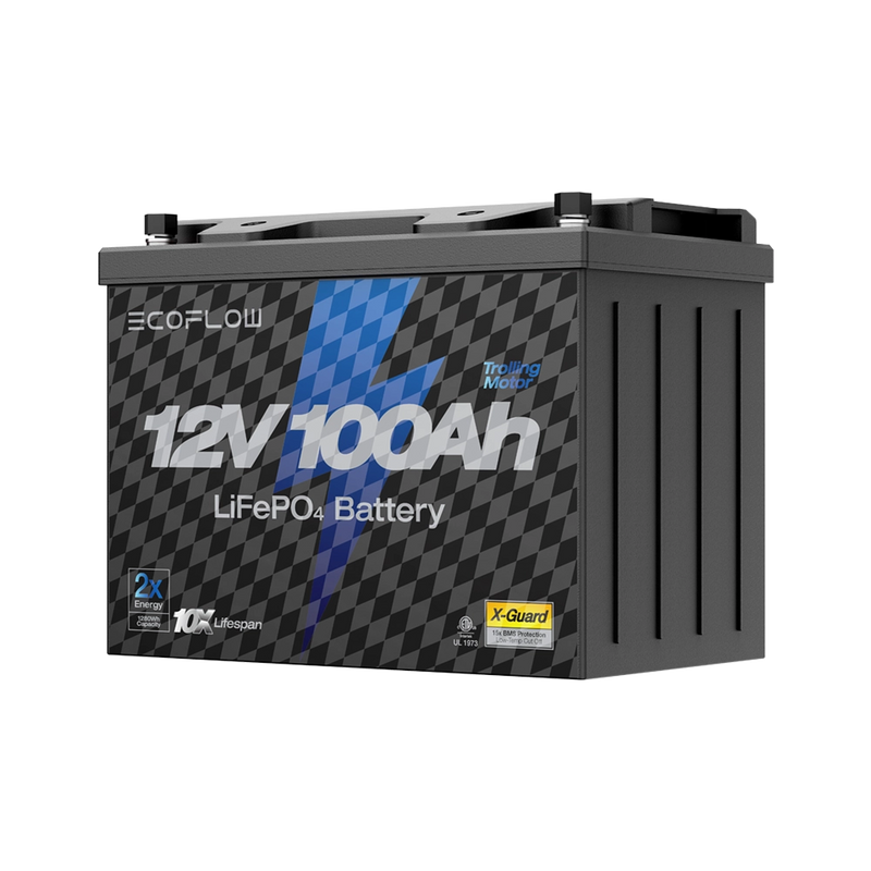 Load image into Gallery viewer, EcoFlow Lithium 12V 100Ah Deep Cycle LiFePO4 Battery