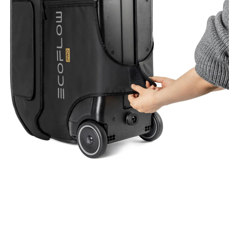 Load image into Gallery viewer, EcoFlow DELTA Pro Bag - EcoFlow New Zealand