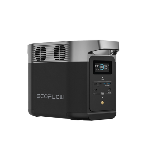 EcoFlow DELTA 2