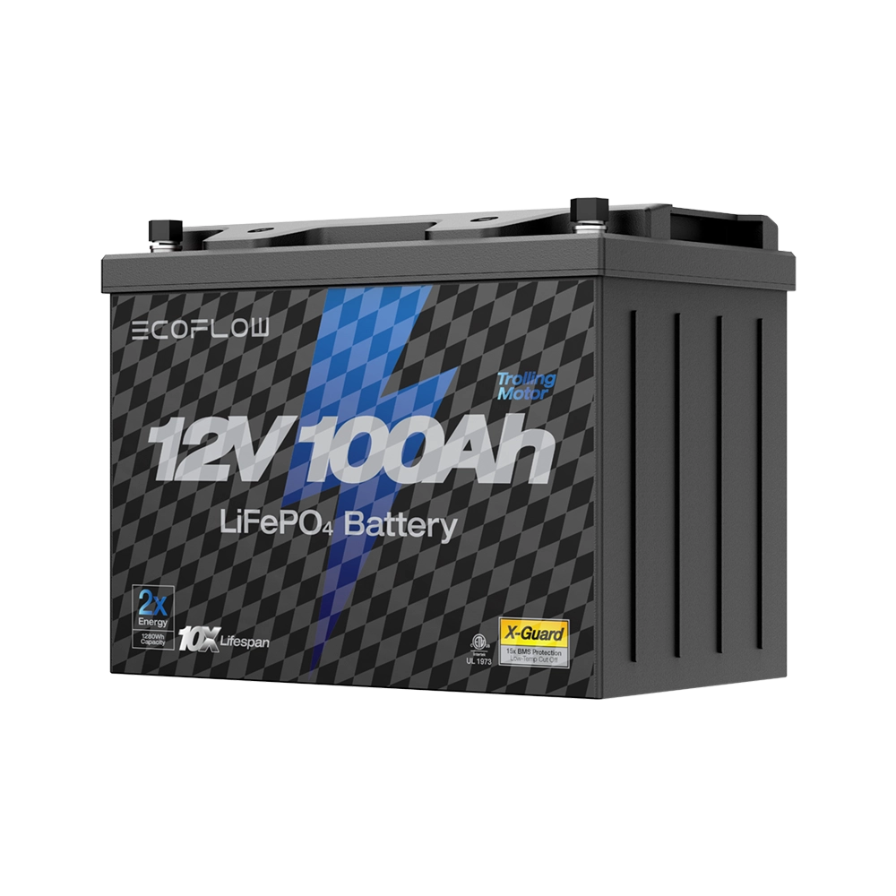 EcoFlow Lithium 12V 100Ah Deep Cycle LiFePO4 Battery