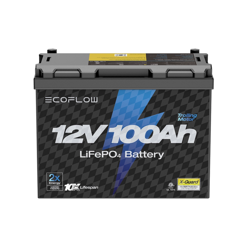 Load image into Gallery viewer, EcoFlow Lithium 12V 100Ah Deep Cycle LiFePO4 Battery
