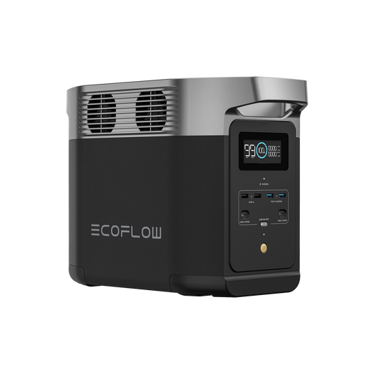 EcoFlow DELTA 2