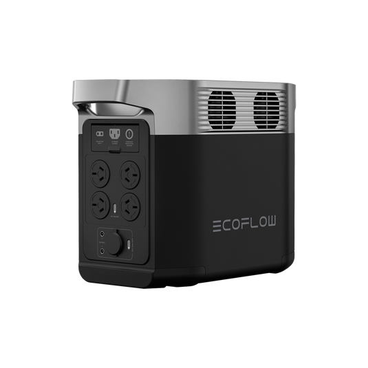 EcoFlow DELTA 2